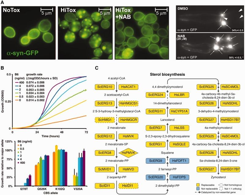 https://cdn.ncbi.nlm.nih.gov/pmc/blobs/1b15/4803062/02bd87cffc9c/elv041f3p.jpg