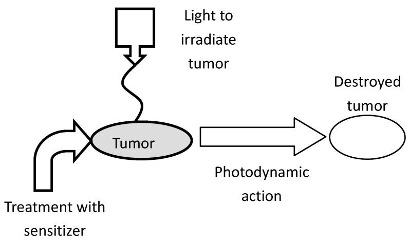 https://cdn.ncbi.nlm.nih.gov/pmc/blobs/1b18/5512801/59041a3d8a99/materials-06-00817-g004.jpg