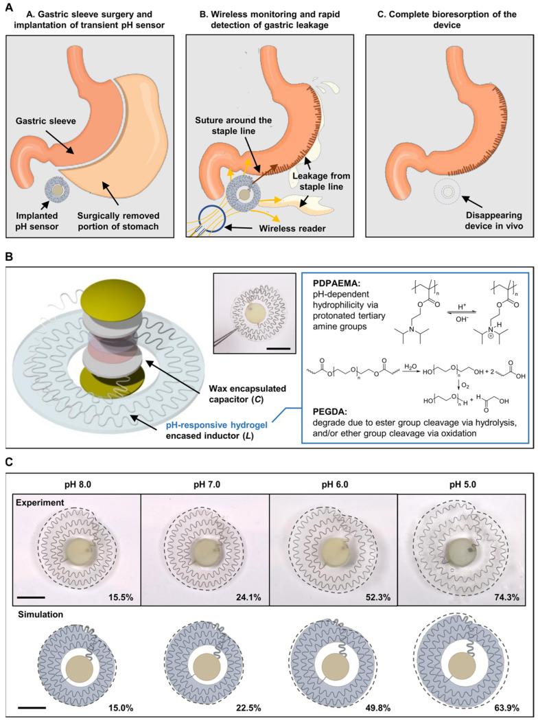 https://cdn.ncbi.nlm.nih.gov/pmc/blobs/1b33/11940385/a03c1c4e572c/biosensors-15-00139-g006.jpg
