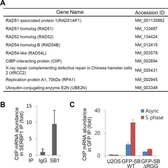 https://cdn.ncbi.nlm.nih.gov/pmc/blobs/1b4d/4513868/72121b640f9e/gkv592fig4.jpg