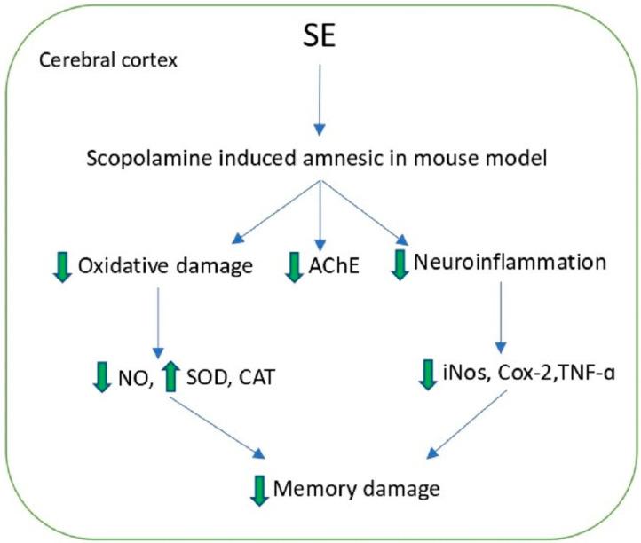 https://cdn.ncbi.nlm.nih.gov/pmc/blobs/1b51/9696959/447ffb47ed5c/molecules-27-07954-g005.jpg