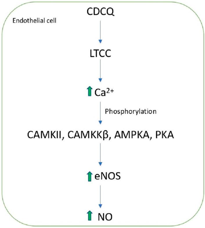 https://cdn.ncbi.nlm.nih.gov/pmc/blobs/1b51/9696959/87a30b6b133d/molecules-27-07954-g003.jpg