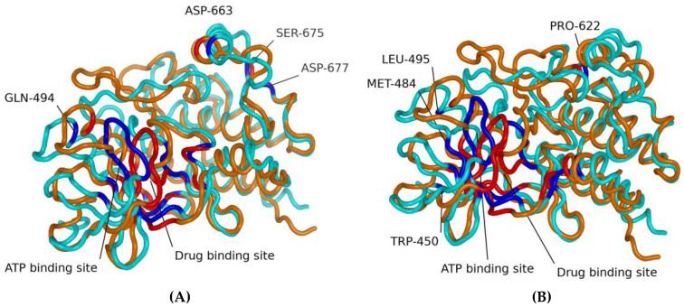 https://cdn.ncbi.nlm.nih.gov/pmc/blobs/1b5c/12430524/be95ad4c5829/molecules-30-03556-g001.jpg