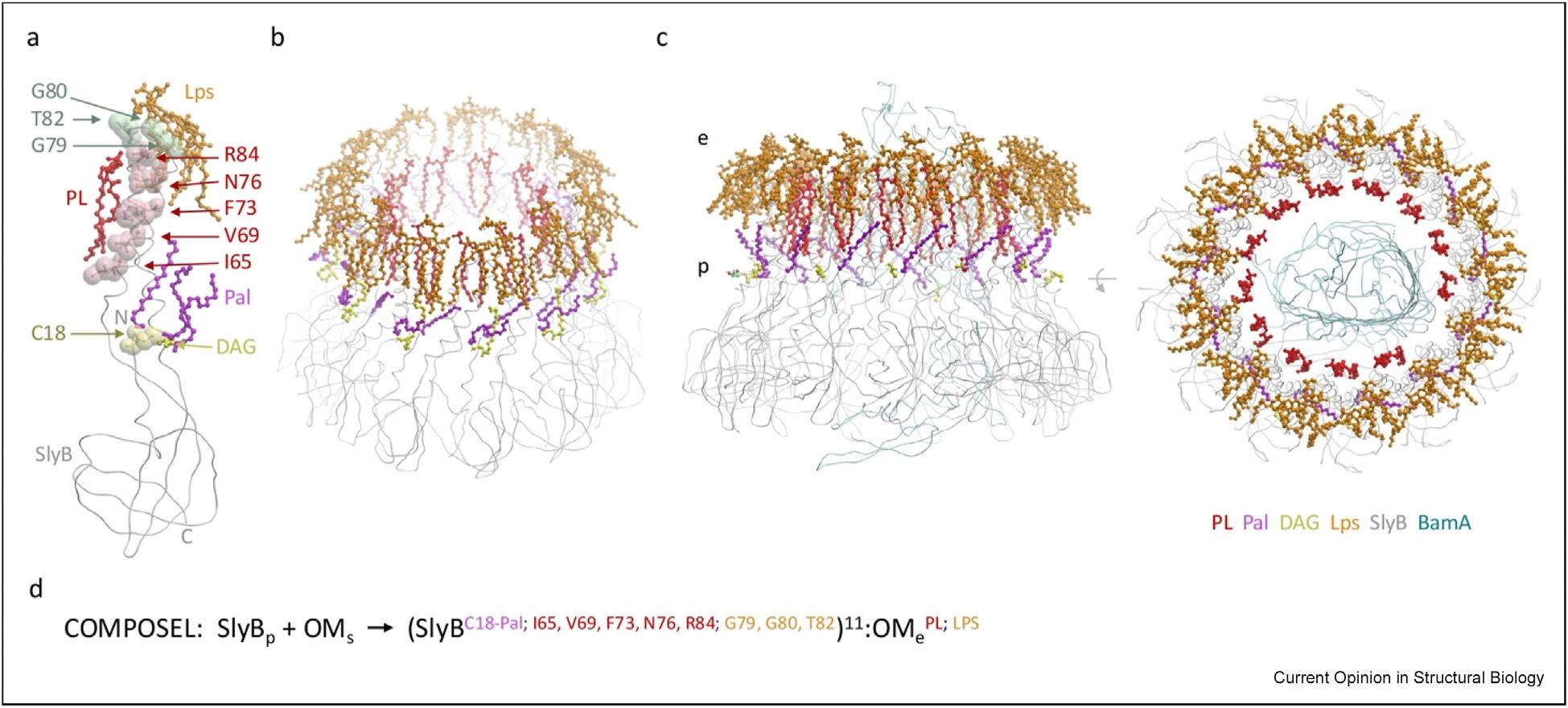 https://cdn.ncbi.nlm.nih.gov/pmc/blobs/1b63/12408116/24d4ebc0c028/nihms-2105406-f0003.jpg