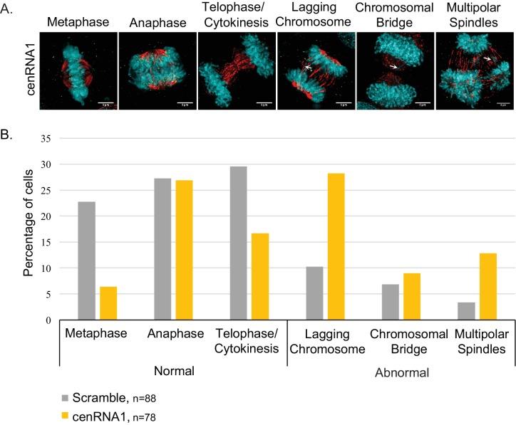 https://cdn.ncbi.nlm.nih.gov/pmc/blobs/1b70/4145801/40ac5f8c6139/elife-03254-fig5-figsupp5.jpg