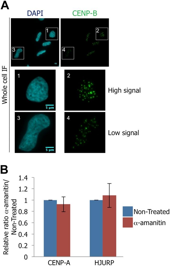 https://cdn.ncbi.nlm.nih.gov/pmc/blobs/1b70/4145801/524ab5dabd8b/elife-03254-fig3-figsupp1.jpg