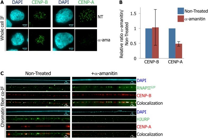 https://cdn.ncbi.nlm.nih.gov/pmc/blobs/1b70/4145801/55949a511ac6/elife-03254-fig3.jpg