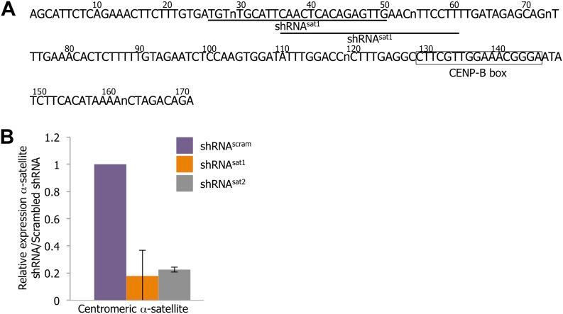 https://cdn.ncbi.nlm.nih.gov/pmc/blobs/1b70/4145801/776731a407bd/elife-03254-fig6-figsupp1.jpg