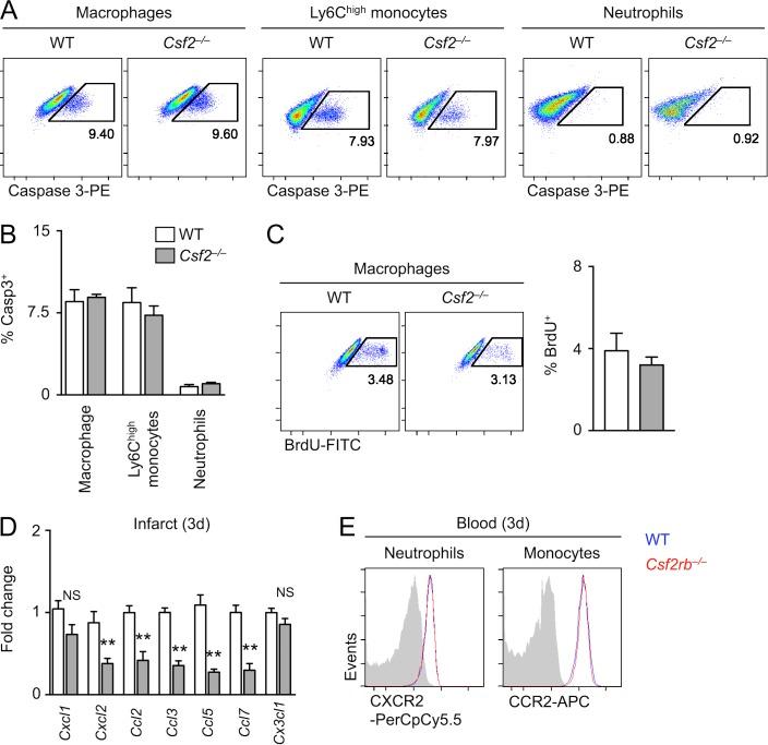 https://cdn.ncbi.nlm.nih.gov/pmc/blobs/1b86/5679174/26d5231fad2b/JEM_20170689_Fig3.jpg