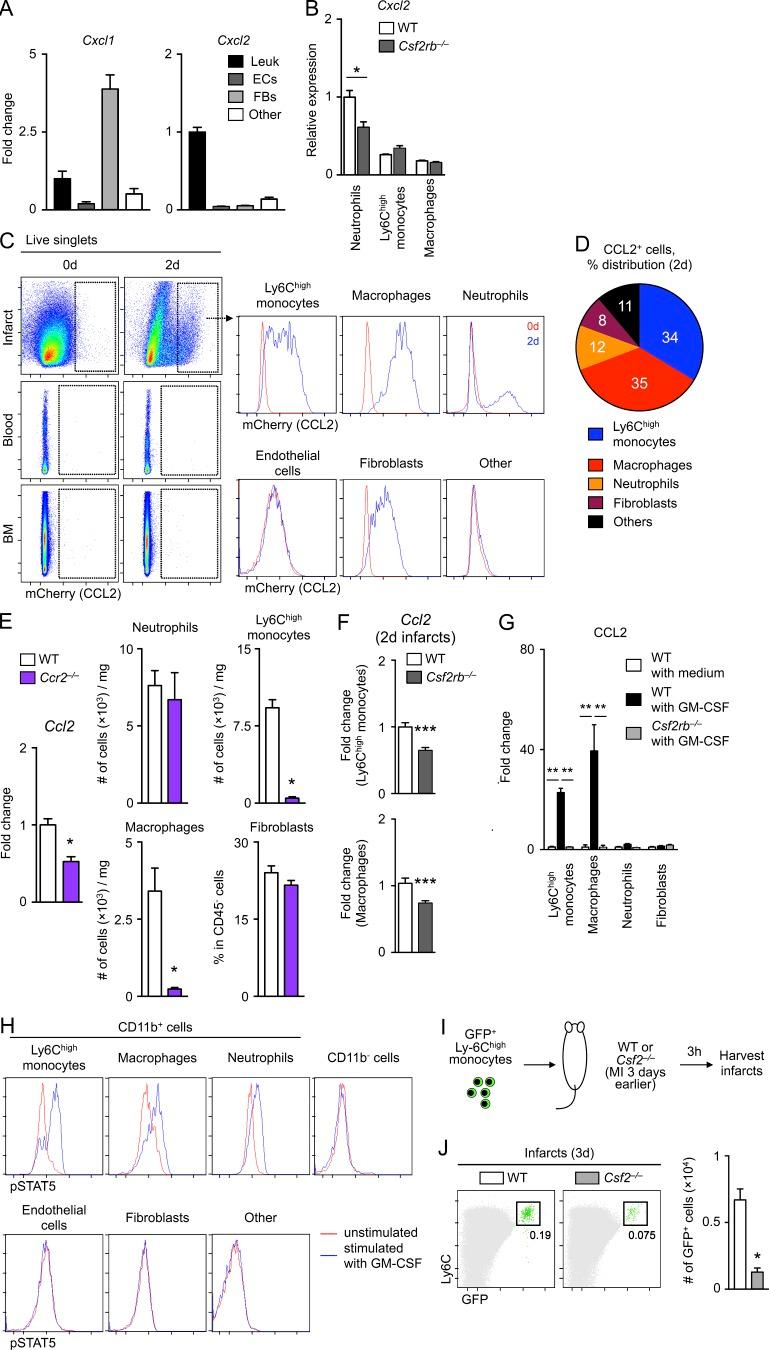 https://cdn.ncbi.nlm.nih.gov/pmc/blobs/1b86/5679174/5c8d5a45dc5a/JEM_20170689_Fig4.jpg