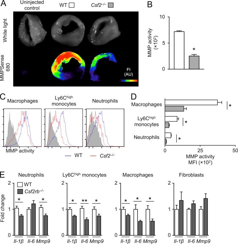 https://cdn.ncbi.nlm.nih.gov/pmc/blobs/1b86/5679174/c9264663a4bd/JEM_20170689_Fig5.jpg