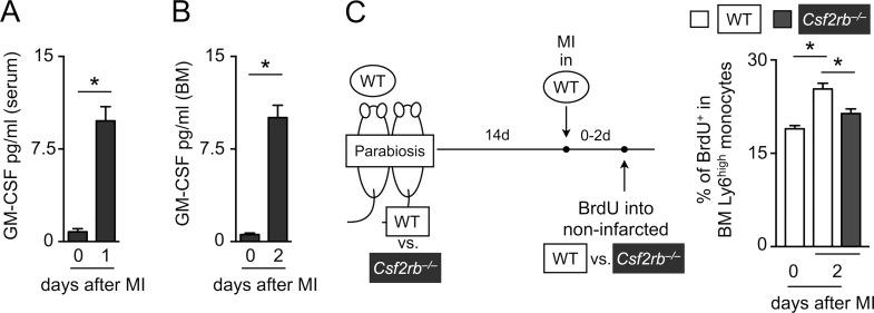 https://cdn.ncbi.nlm.nih.gov/pmc/blobs/1b86/5679174/cf8731a7032b/JEM_20170689_Fig6.jpg