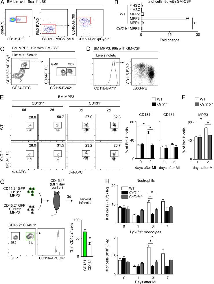 https://cdn.ncbi.nlm.nih.gov/pmc/blobs/1b86/5679174/f05ebe12cb26/JEM_20170689_Fig7.jpg