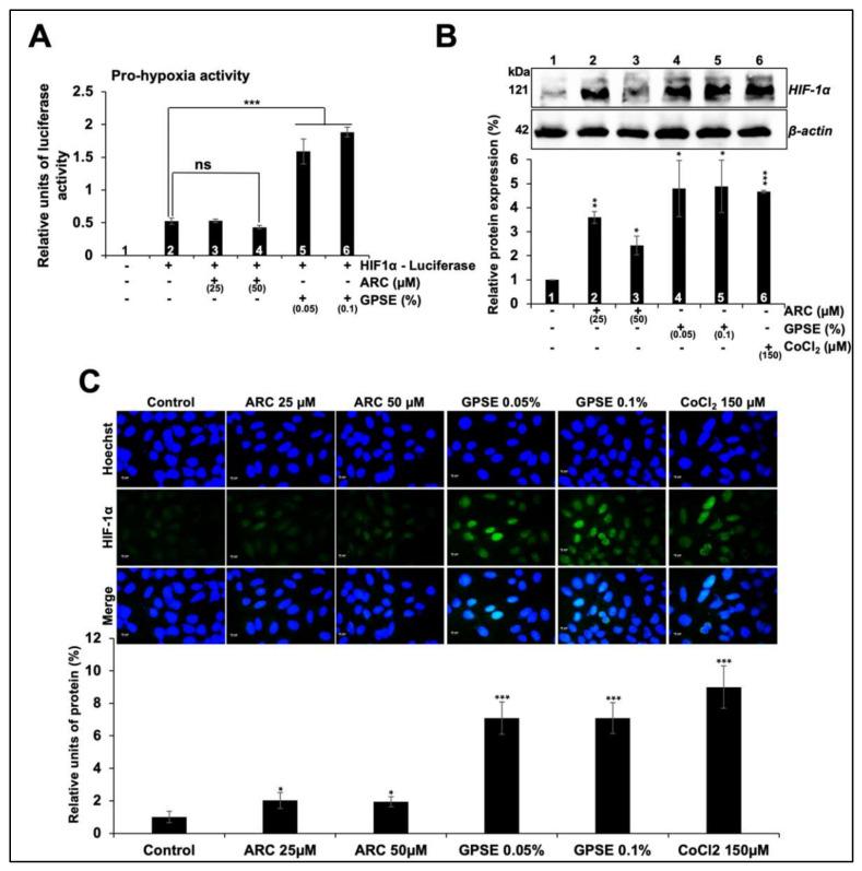 https://cdn.ncbi.nlm.nih.gov/pmc/blobs/1b86/8746355/479052948b36/molecules-27-00080-g004.jpg