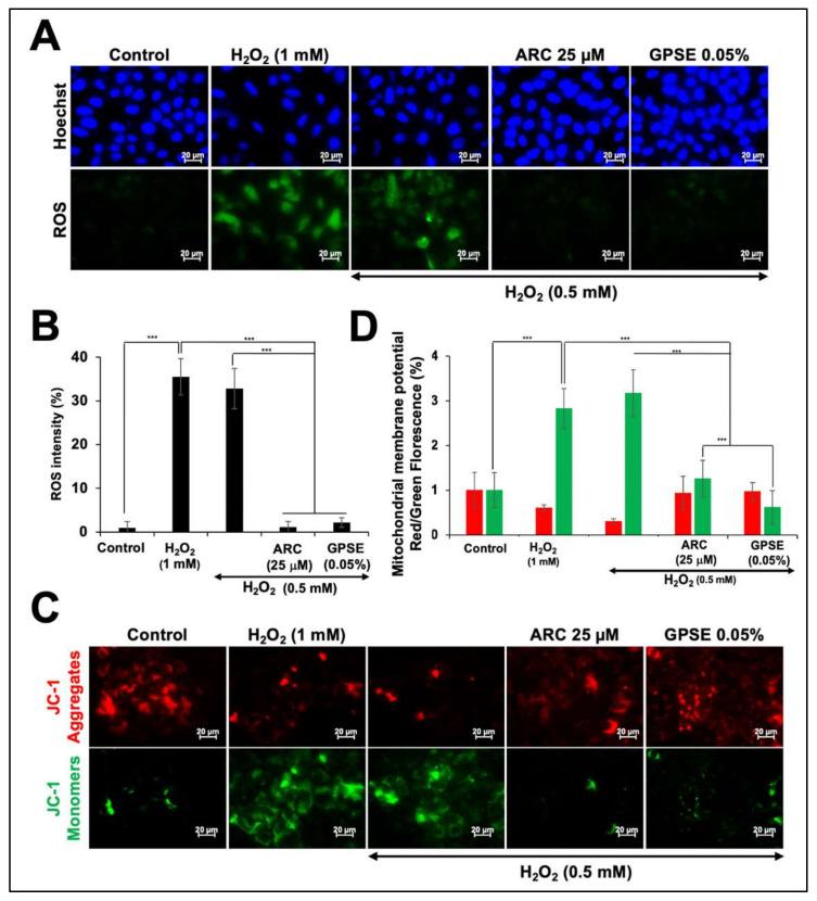 https://cdn.ncbi.nlm.nih.gov/pmc/blobs/1b86/8746355/671566e7fc90/molecules-27-00080-g006.jpg