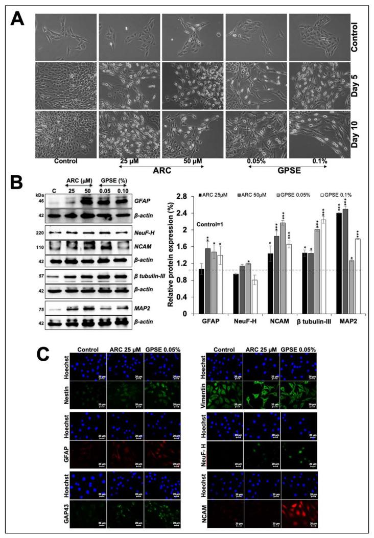https://cdn.ncbi.nlm.nih.gov/pmc/blobs/1b86/8746355/cf91490d489d/molecules-27-00080-g005.jpg