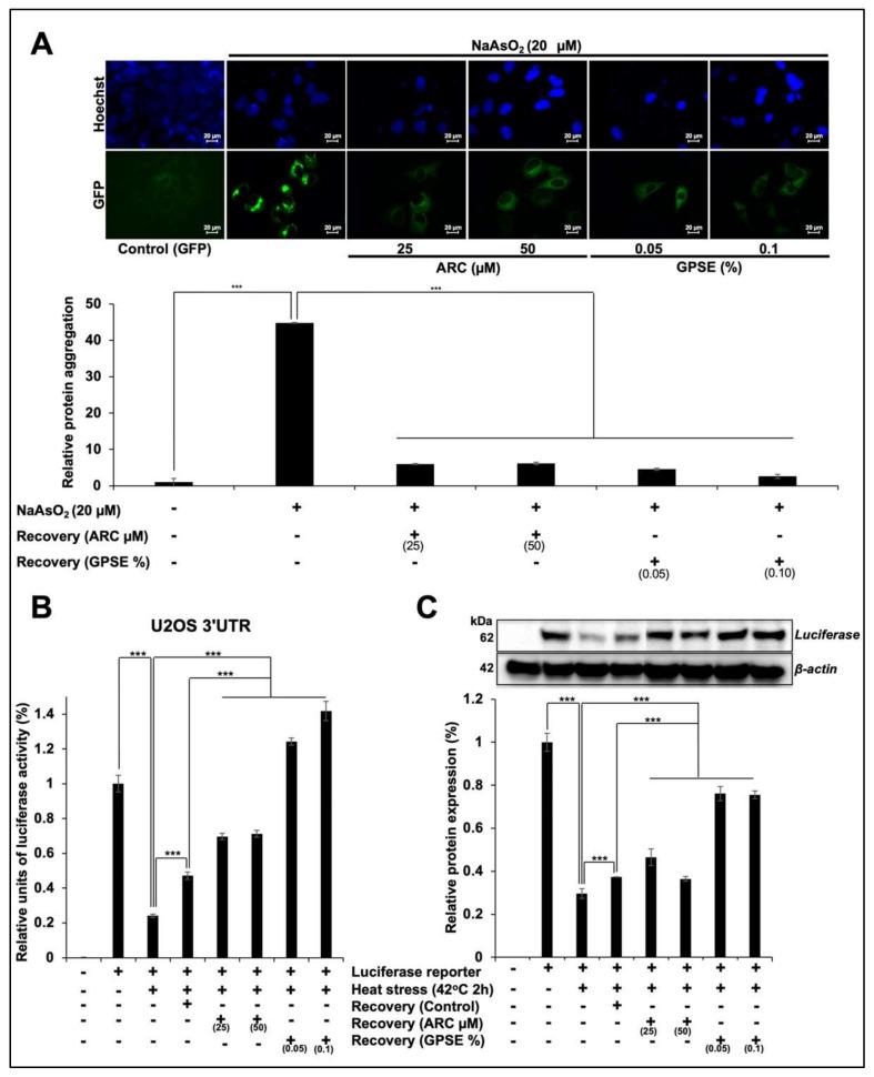 https://cdn.ncbi.nlm.nih.gov/pmc/blobs/1b86/8746355/ec54af4ba1cc/molecules-27-00080-g003.jpg