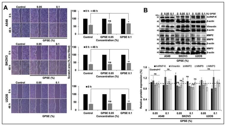 https://cdn.ncbi.nlm.nih.gov/pmc/blobs/1b86/8746355/f41be3693ea0/molecules-27-00080-g002.jpg
