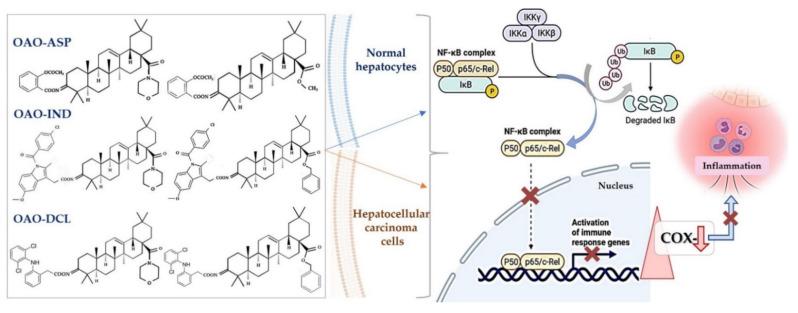 https://cdn.ncbi.nlm.nih.gov/pmc/blobs/1b90/8398353/293197d98a8e/molecules-26-04957-g004.jpg