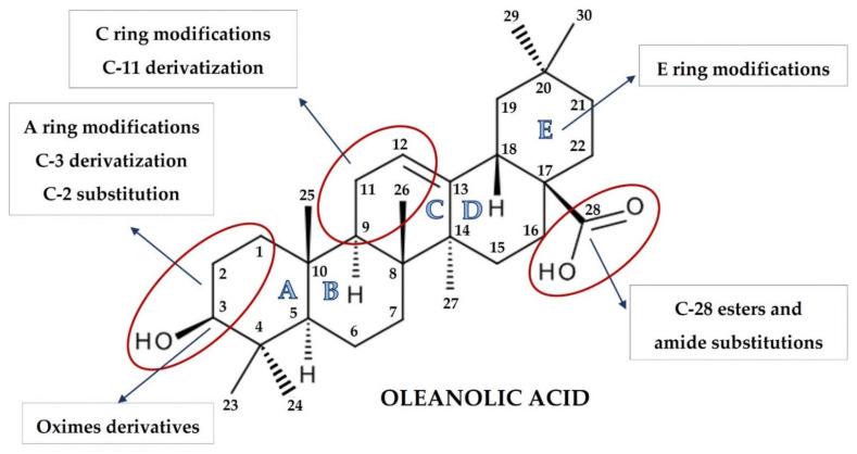 https://cdn.ncbi.nlm.nih.gov/pmc/blobs/1b90/8398353/366b309e4be0/molecules-26-04957-g001.jpg