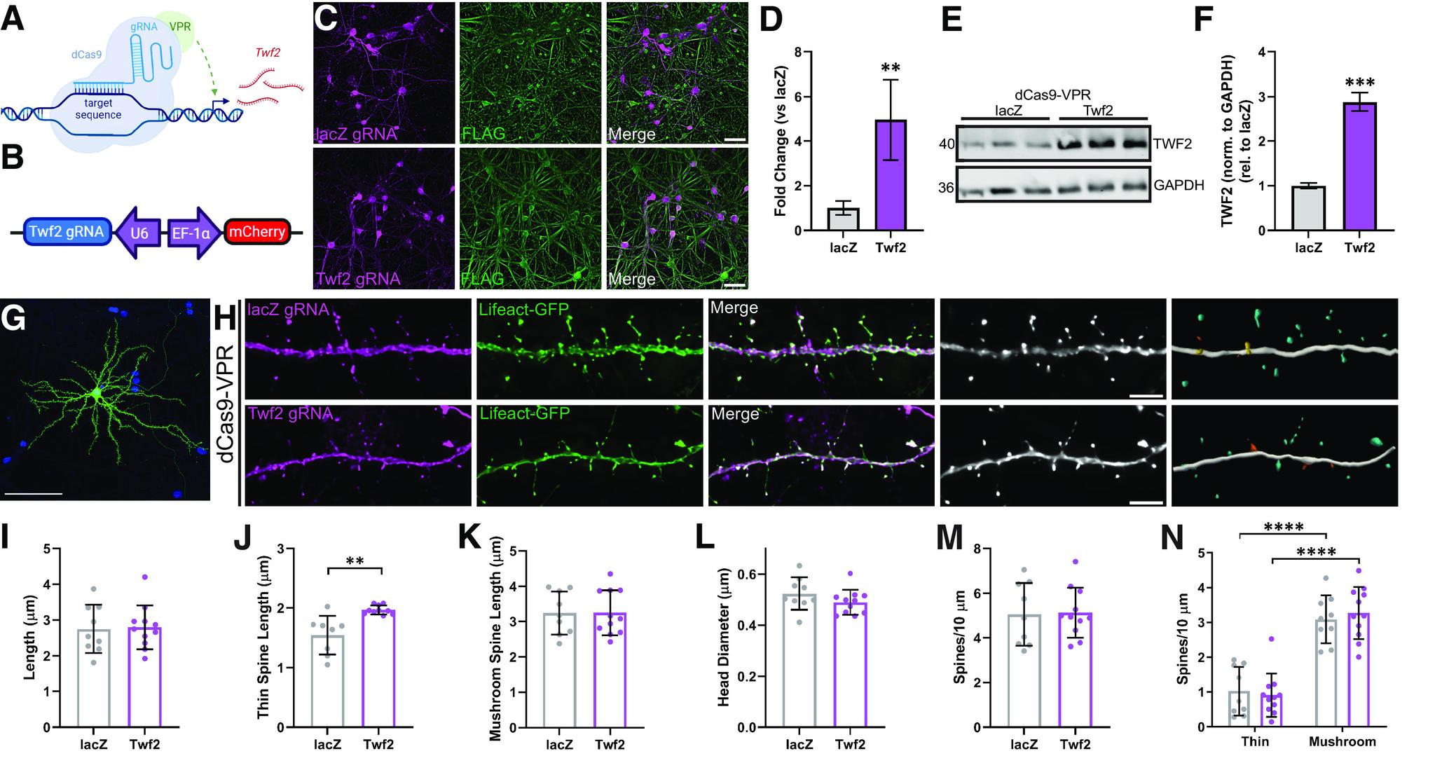 https://cdn.ncbi.nlm.nih.gov/pmc/blobs/1b93/10198456/e5c3e31f3ae5/SN-JNSJ230257F009.jpg
