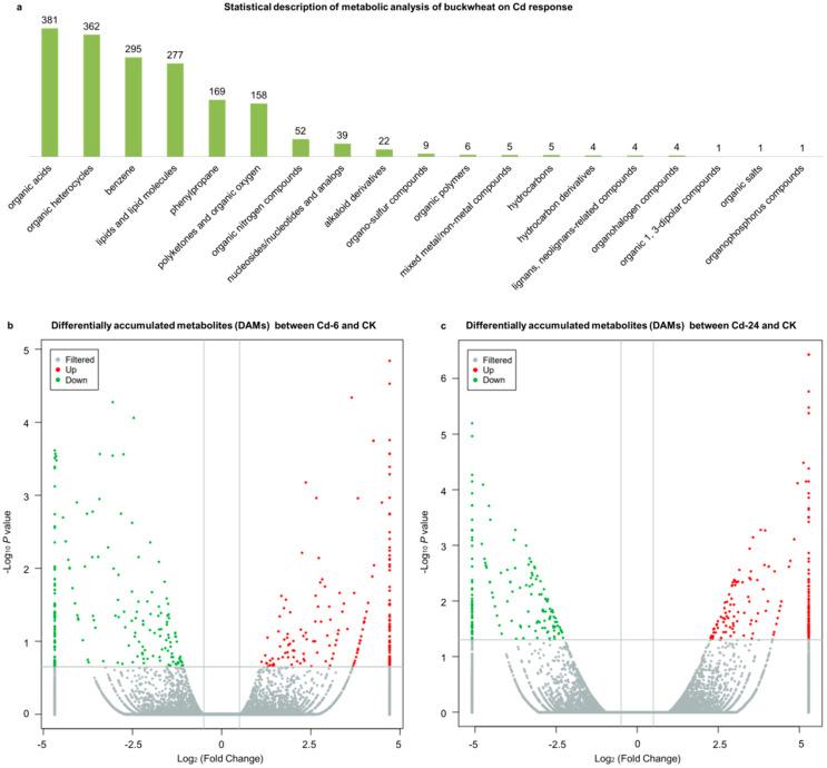 https://cdn.ncbi.nlm.nih.gov/pmc/blobs/1bc4/10378796/b05fb79d9b37/genes-14-01462-g002.jpg