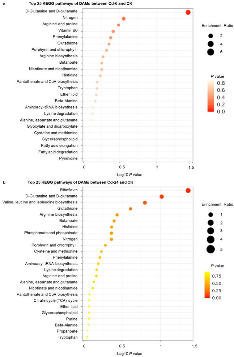 https://cdn.ncbi.nlm.nih.gov/pmc/blobs/1bc4/10378796/df7e2ec0985e/genes-14-01462-g003.jpg