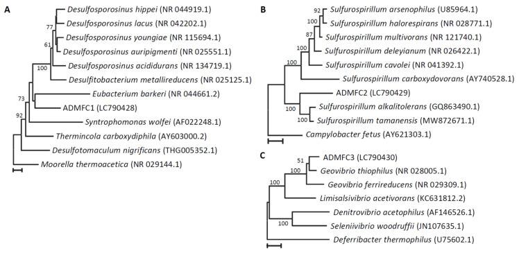 https://cdn.ncbi.nlm.nih.gov/pmc/blobs/1bda/11356707/c4deaa6a3ae0/microorganisms-12-01645-g003.jpg