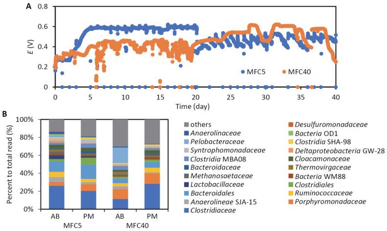 https://cdn.ncbi.nlm.nih.gov/pmc/blobs/1bda/11356707/f0b13ac02220/microorganisms-12-01645-g001.jpg