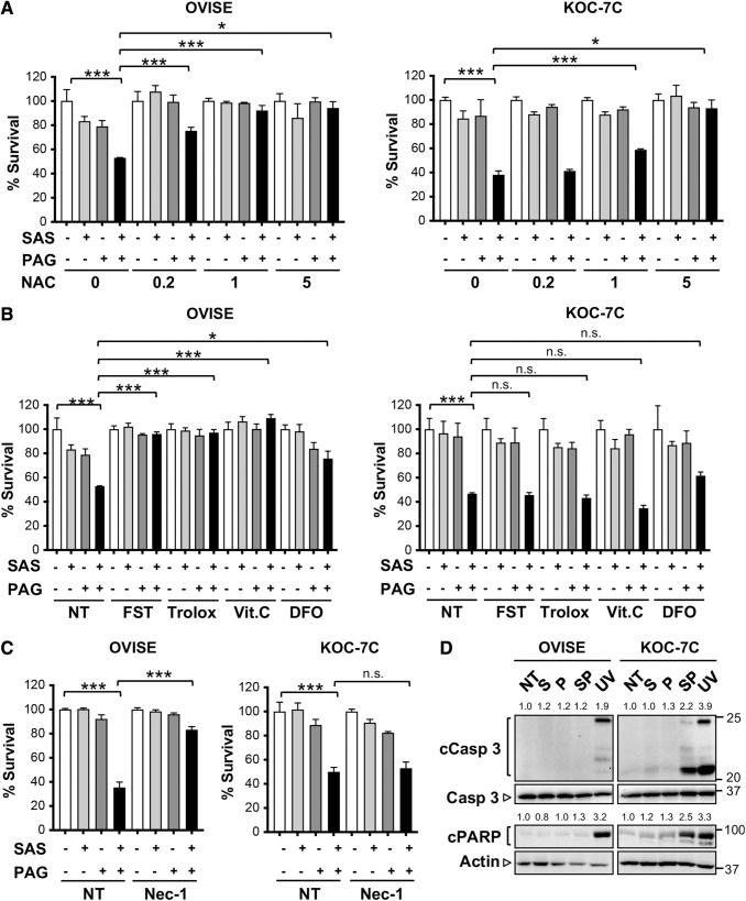 https://cdn.ncbi.nlm.nih.gov/pmc/blobs/1be2/8697566/1e39656c8ff4/ars.2019.7850_figure3.jpg