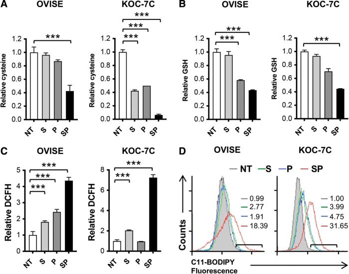 https://cdn.ncbi.nlm.nih.gov/pmc/blobs/1be2/8697566/5cd1c71280b7/ars.2019.7850_figure2.jpg