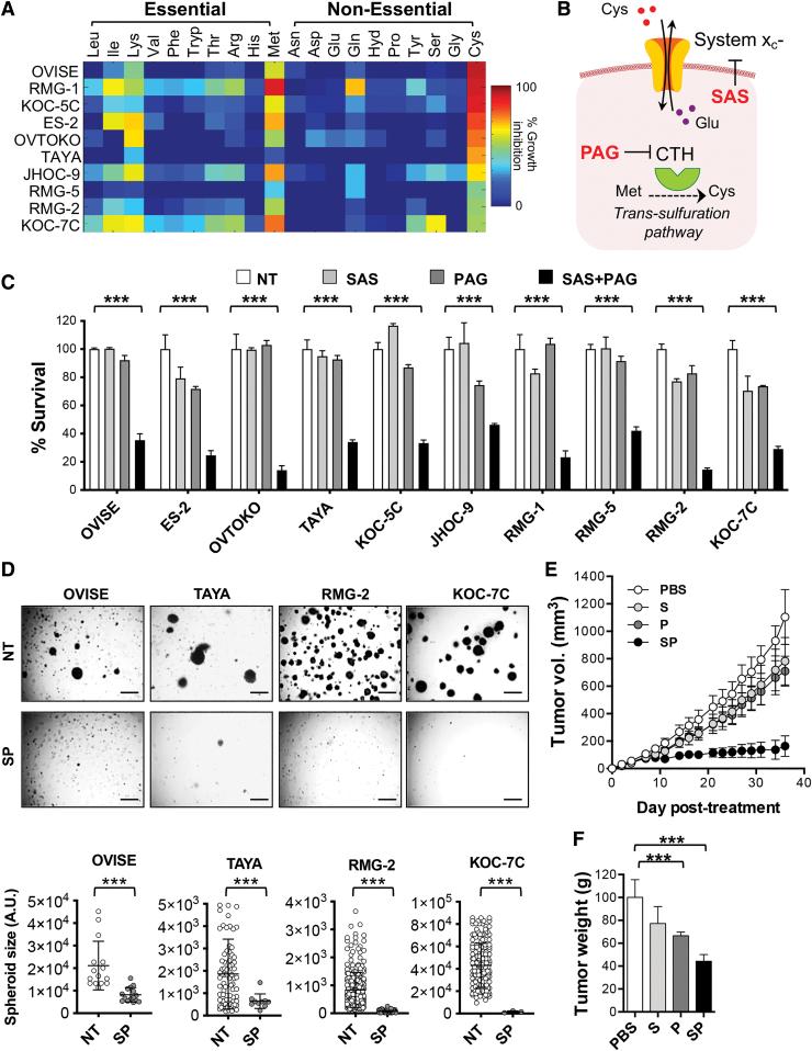 https://cdn.ncbi.nlm.nih.gov/pmc/blobs/1be2/8697566/839aa9511261/ars.2019.7850_figure1.jpg