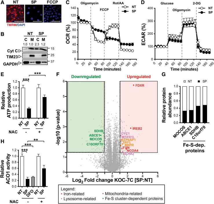 https://cdn.ncbi.nlm.nih.gov/pmc/blobs/1be2/8697566/864c450243ea/ars.2019.7850_figure5.jpg