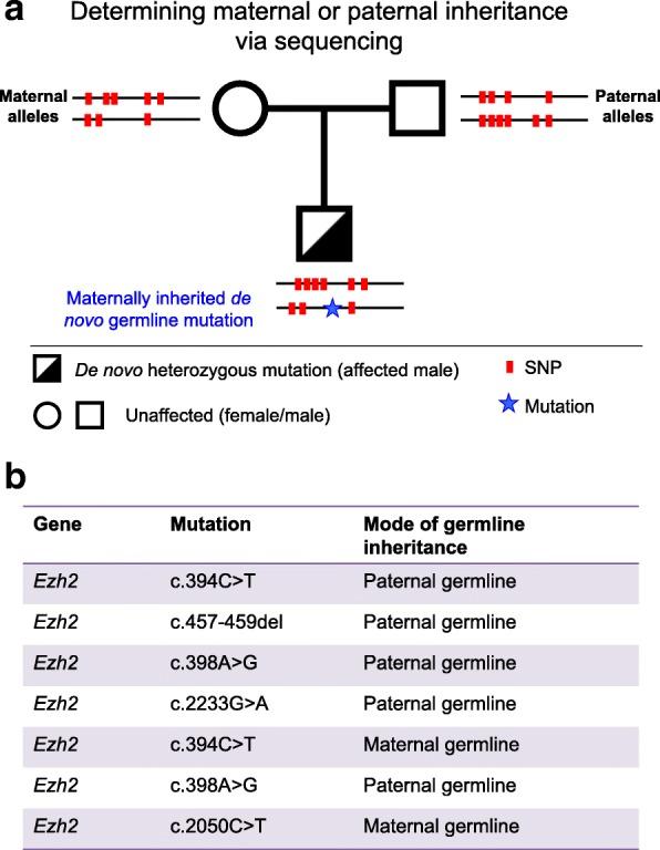 https://cdn.ncbi.nlm.nih.gov/pmc/blobs/1bf0/6045828/d012f34533bf/13148_2018_526_Fig6_HTML.jpg