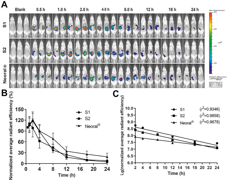 https://cdn.ncbi.nlm.nih.gov/pmc/blobs/1bfe/8105768/13d618cdce52/gr3.jpg