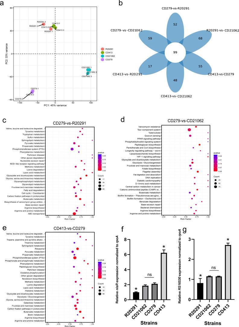 https://cdn.ncbi.nlm.nih.gov/pmc/blobs/1c0a/12131768/47f3d7e5b239/spectrum.02018-24.f005.jpg