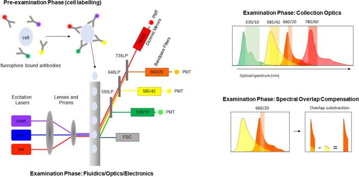 https://cdn.ncbi.nlm.nih.gov/pmc/blobs/1c1b/8363238/28ccb228e1bc/12248_2021_633_Fig1_HTML.jpg
