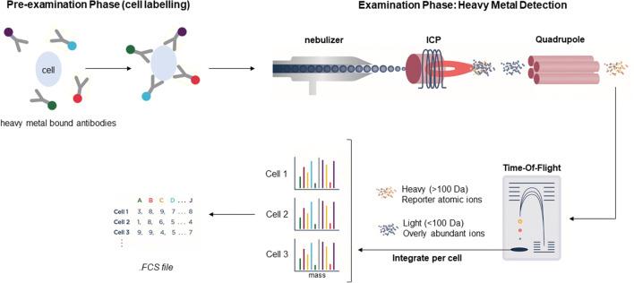 https://cdn.ncbi.nlm.nih.gov/pmc/blobs/1c1b/8363238/bd27b5858027/12248_2021_633_Fig4_HTML.jpg