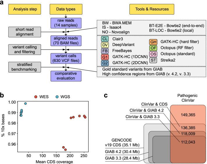 https://cdn.ncbi.nlm.nih.gov/pmc/blobs/1c22/8862519/aad72e306a23/12864_2022_8365_Fig1_HTML.jpg