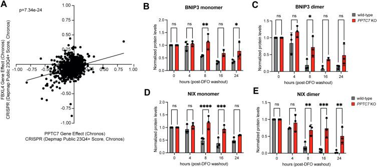 https://cdn.ncbi.nlm.nih.gov/pmc/blobs/1c23/11239977/83b941fd3e45/LSA-2024-02765_FigS2.jpg