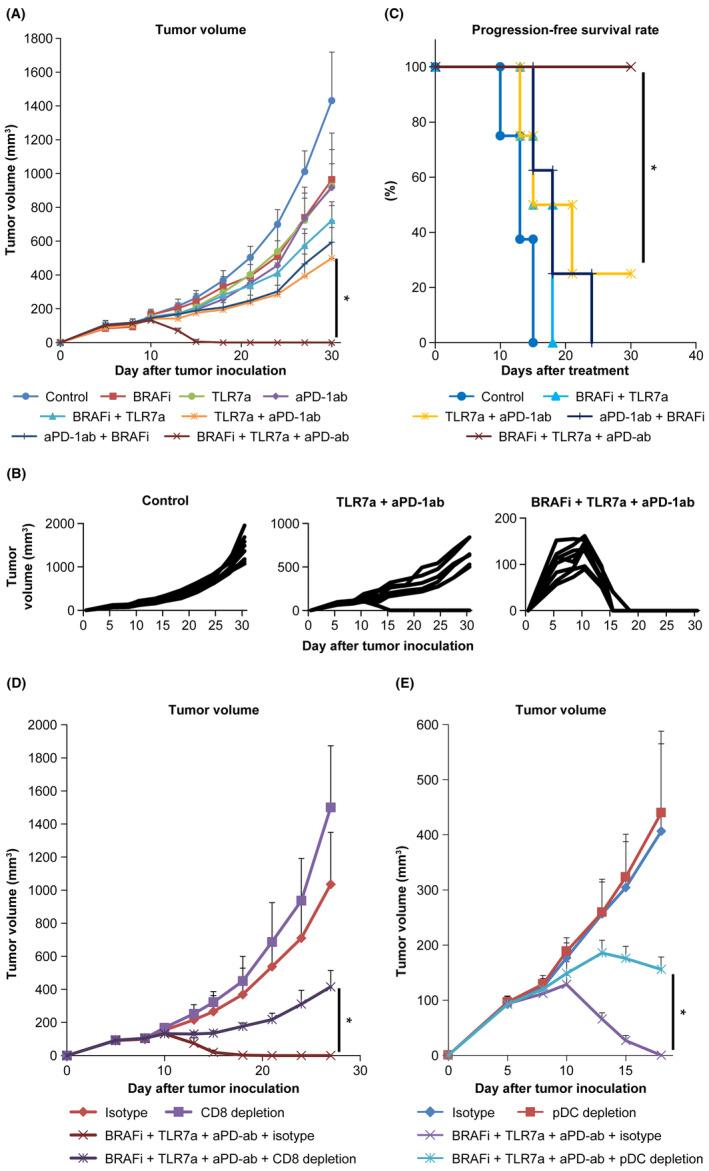 https://cdn.ncbi.nlm.nih.gov/pmc/blobs/1c34/11462939/7e19b00dd2b5/CAS-115-2879-g006.jpg