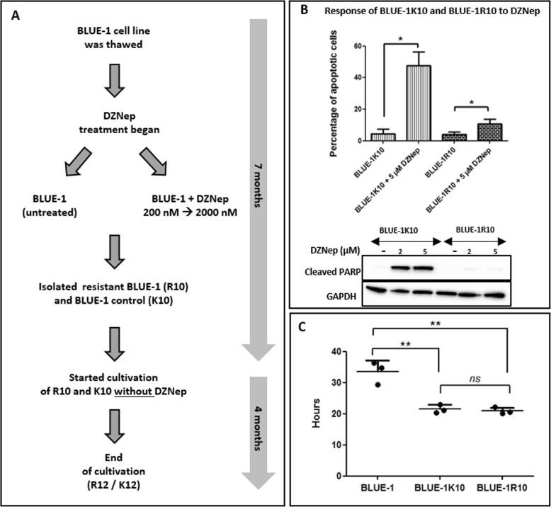 https://cdn.ncbi.nlm.nih.gov/pmc/blobs/1c3d/7227222/83d3ecdb3e56/12885_2020_6937_Fig1_HTML.jpg