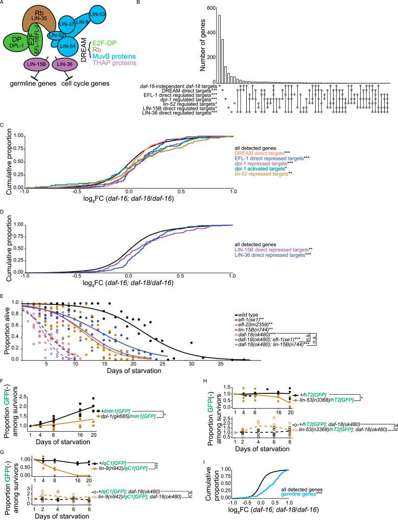 https://cdn.ncbi.nlm.nih.gov/pmc/blobs/1c68/11979363/b8944353b0be/LSA-2024-03147_Fig6.jpg