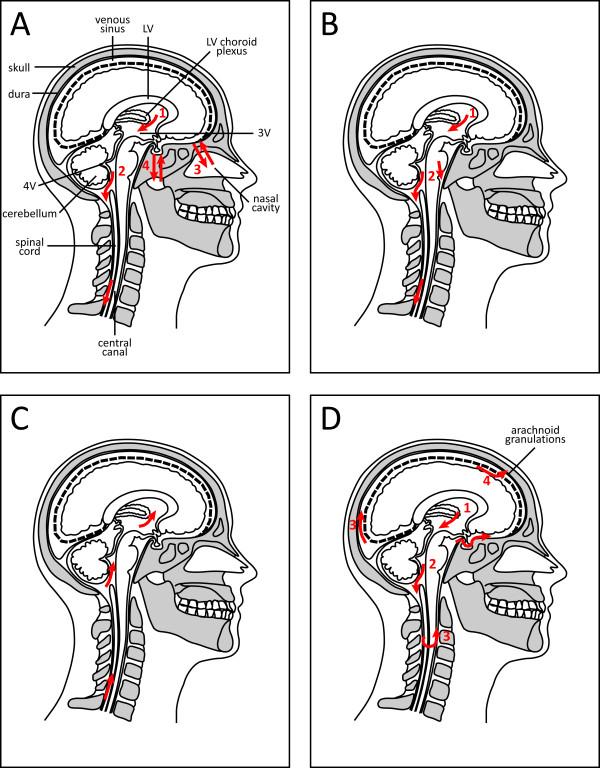 https://cdn.ncbi.nlm.nih.gov/pmc/blobs/1c74/3039834/3472b0d73192/2045-8118-8-2-2.jpg