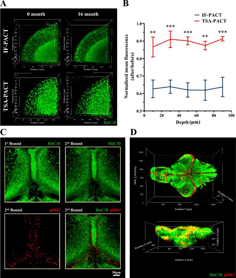 https://cdn.ncbi.nlm.nih.gov/pmc/blobs/1c7b/10223841/bf2ac67ff7f1/13578_2023_1043_Fig3_HTML.jpg