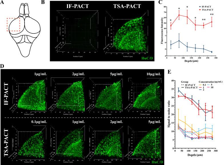 https://cdn.ncbi.nlm.nih.gov/pmc/blobs/1c7b/10223841/cd2515340d35/13578_2023_1043_Fig2_HTML.jpg