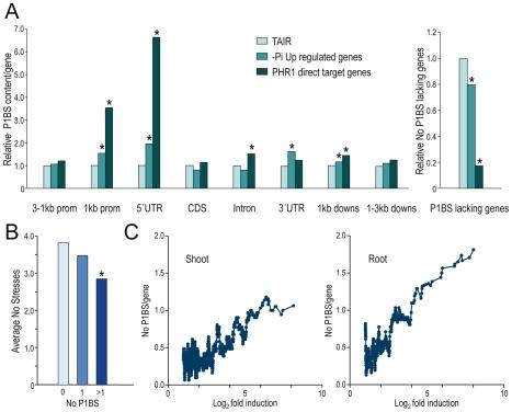 https://cdn.ncbi.nlm.nih.gov/pmc/blobs/1c85/2936532/9ac18196020e/pgen.1001102.g004.jpg