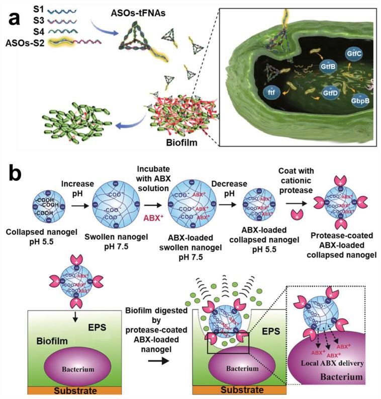 https://cdn.ncbi.nlm.nih.gov/pmc/blobs/1c8c/9611117/7012764812a0/pharmaceuticals-15-01253-g008.jpg