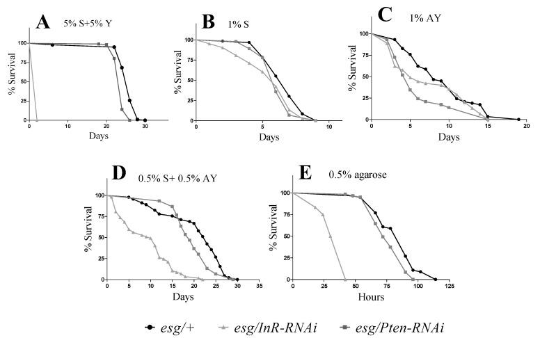 https://cdn.ncbi.nlm.nih.gov/pmc/blobs/1c97/7226132/3da5ef7de44f/cells-09-00803-g001.jpg