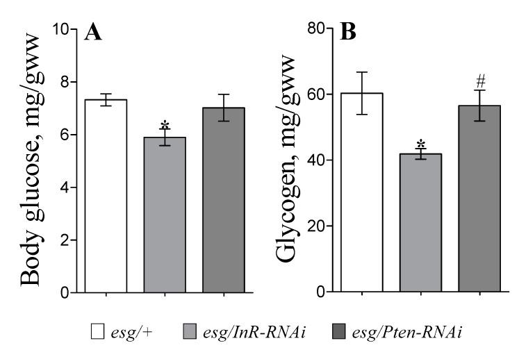 https://cdn.ncbi.nlm.nih.gov/pmc/blobs/1c97/7226132/493e6c5c7fb5/cells-09-00803-g003.jpg